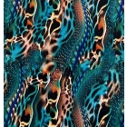 Lycra SEA CAT